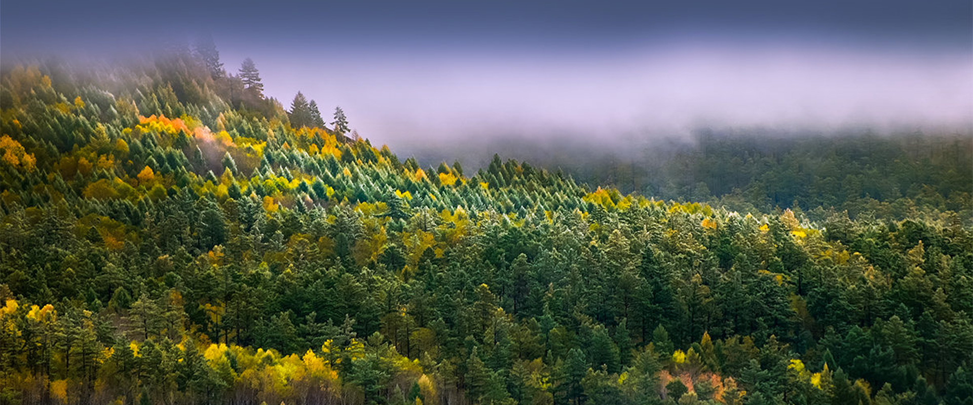 pp成核劑_熱穩(wěn)定劑_PPA粉_抗靜電劑_抗靜電母料_濟(jì)寧市北佳高分子材料有限公司